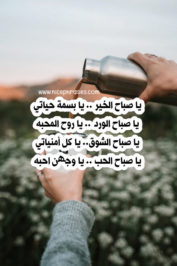 شعر بدوي عن صباح الخير عبارات جميلة
